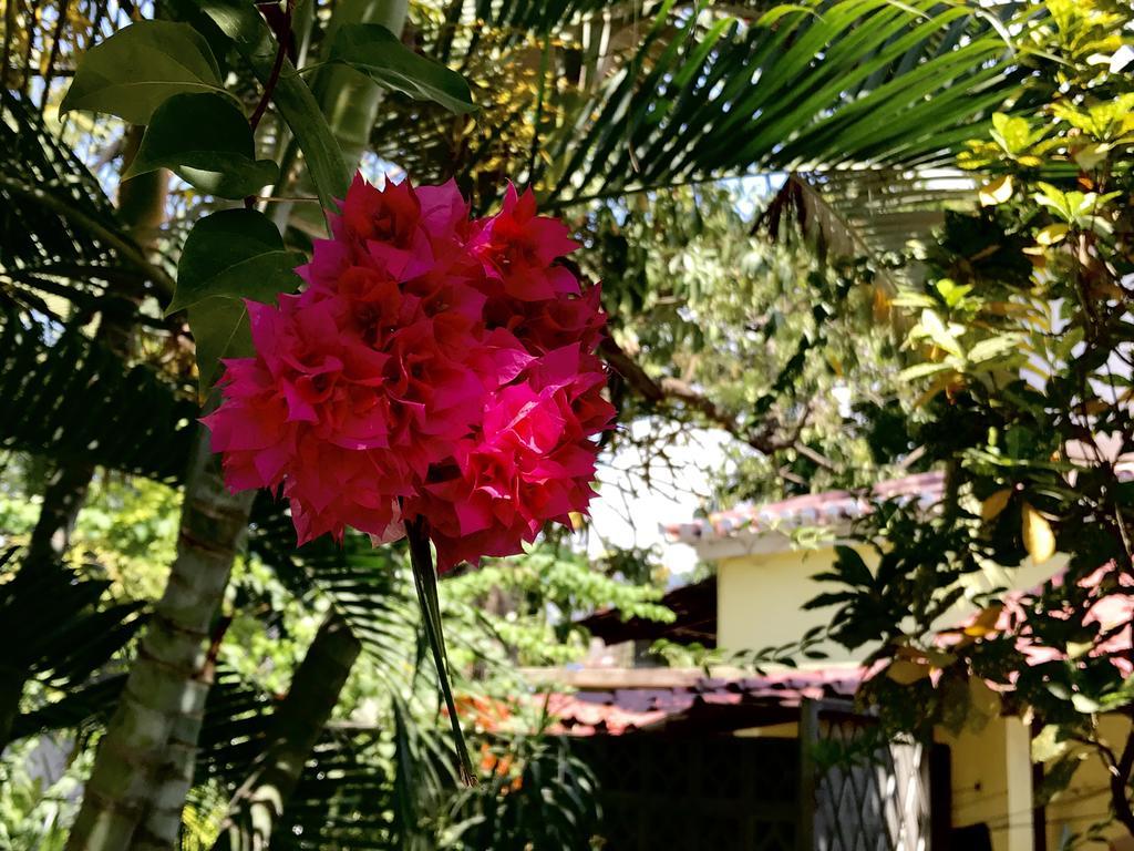 Casa Do Sandalo Boutique Guest House Дили Экстерьер фото